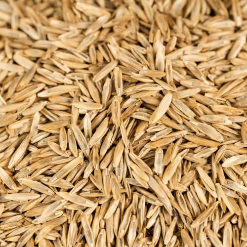 agrarshop-sportrasen-nachsaat-rsm-3-2-rasensamen-20-kg image 5