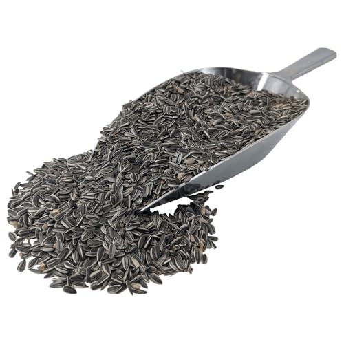 agrarshop-vogelfutter-gestreifte-sonnenblumenkerne-20-kg-ganzjahres image 8