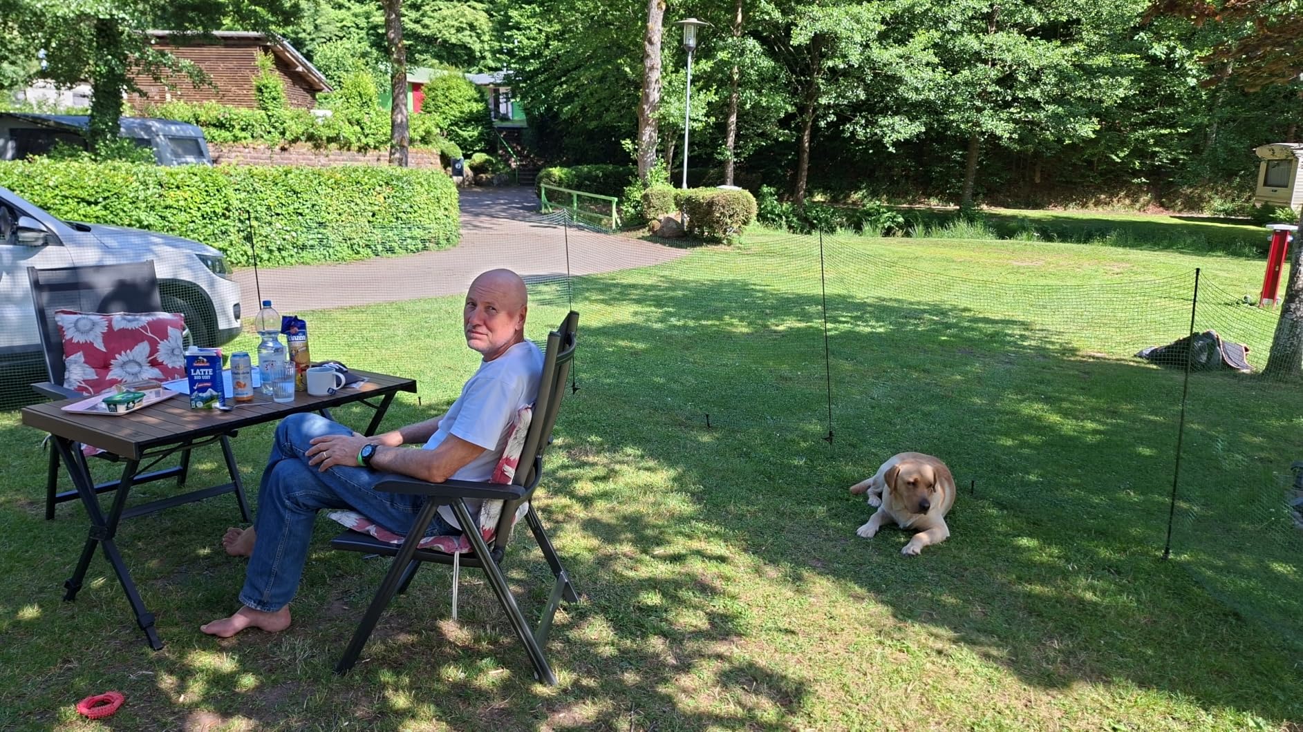 Hält Kleinhund