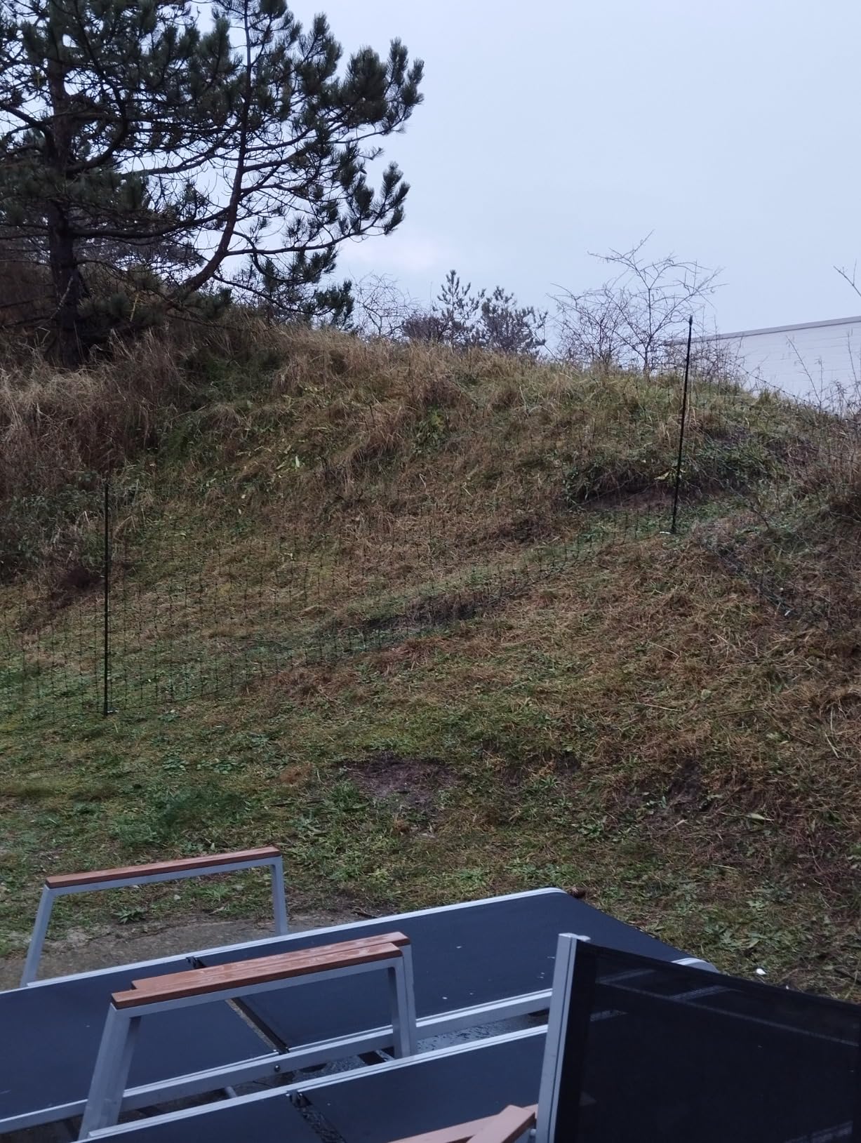 Küken bleiben drin