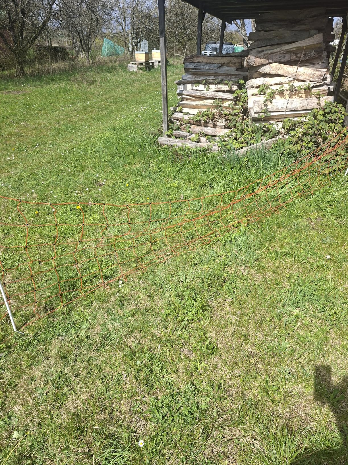 Steht fest