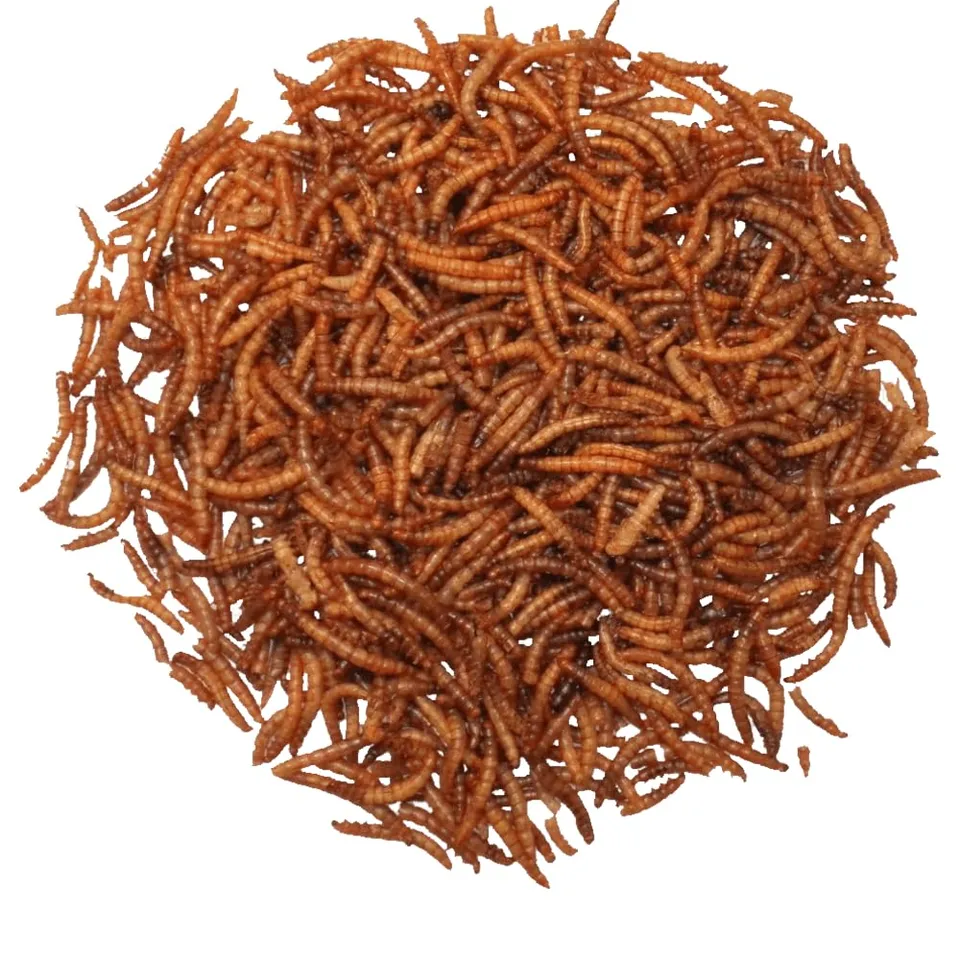 agrarshop-vogelfutter-mehlw-rmer-getrocknet-10-kg-proteinreich image 1