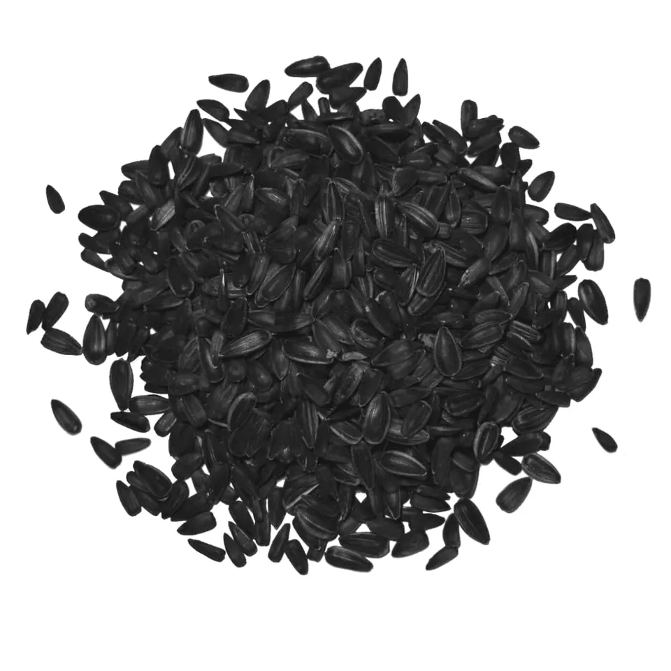 agrarshop-vogelfutter-sonnenblumenkerne-schwarz-20-kg-ganzjahres image 1