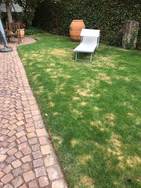 Streut gleich