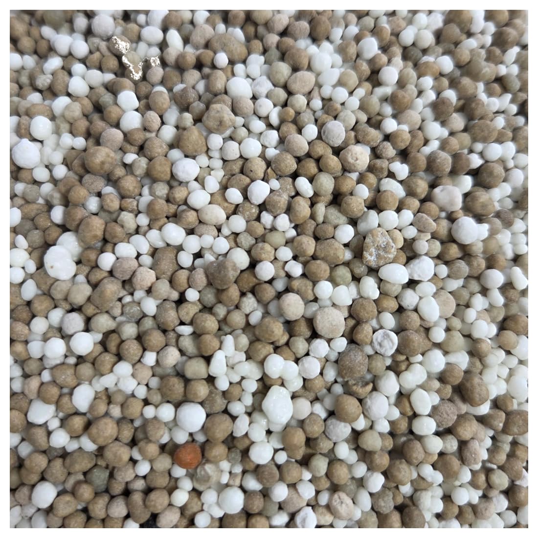 agrarshop-turf-vital-21-5-11-2-rasend-nger-20-kg-langzeit image 2