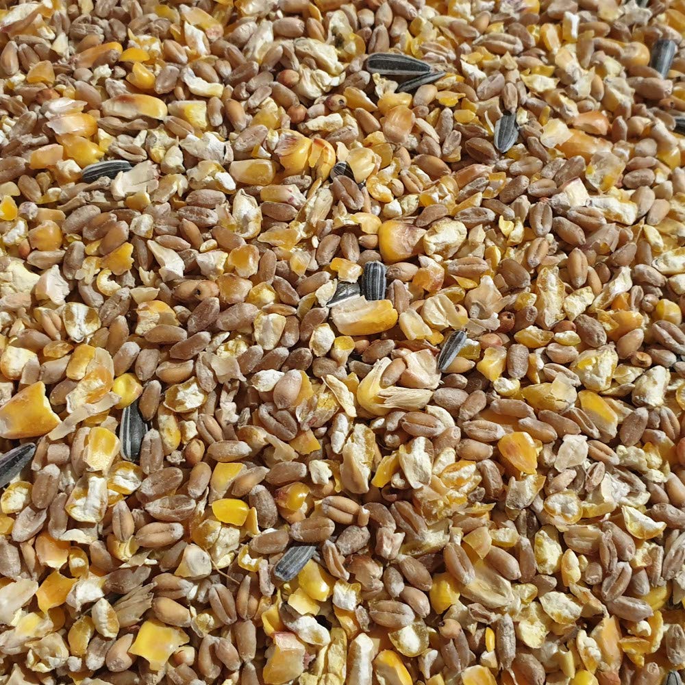 agrarshop-gefl-gelfutter-k-rnerfutter-universal-25-kg image 1