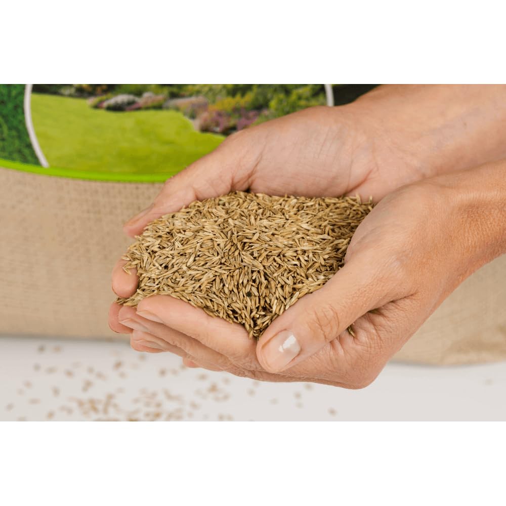 agrarshop-rasensamen-spielrasen-rsm-2-3-2-5-kg-robust image 3