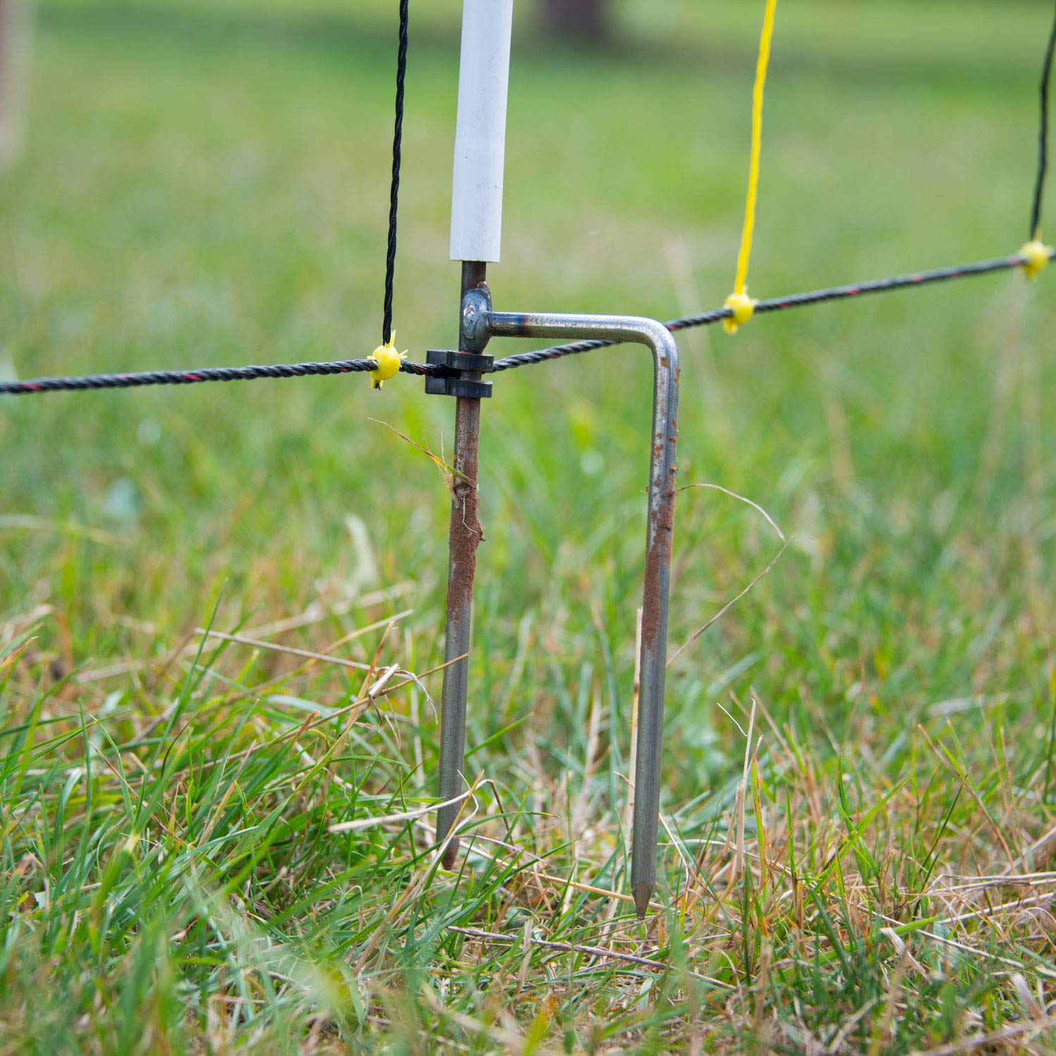 horizont-horinetz-schafnetz-90-cm-x-50-m-doppelspitze-vertikal image 3