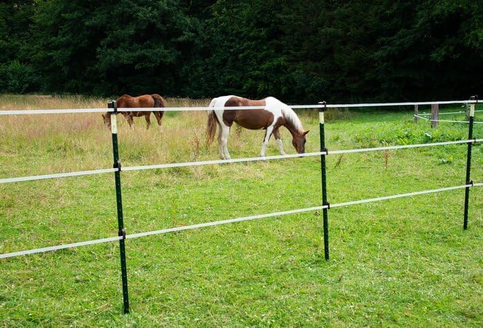 horizont-farmer-t-pfosten-eco-1-52-m-10er-set-verzinkt-metall image 7