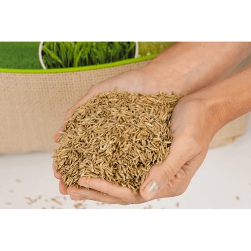 agrarshop-pferdeweide-nachsaat-grassamen-20-kg-belastbar image 8