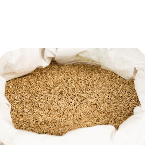 agrarshop-sportrasen-nachsaat-rsm-3-2-rasensamen-20-kg image 4