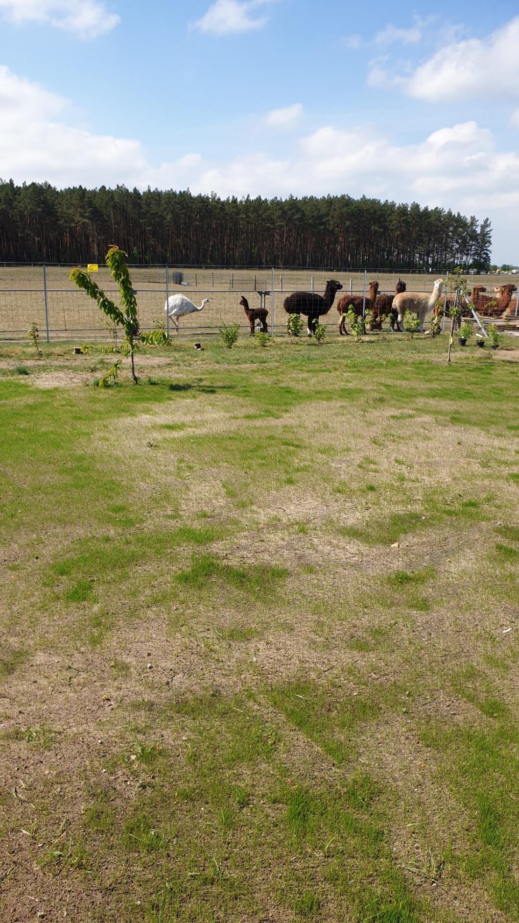 Gleichmäßig