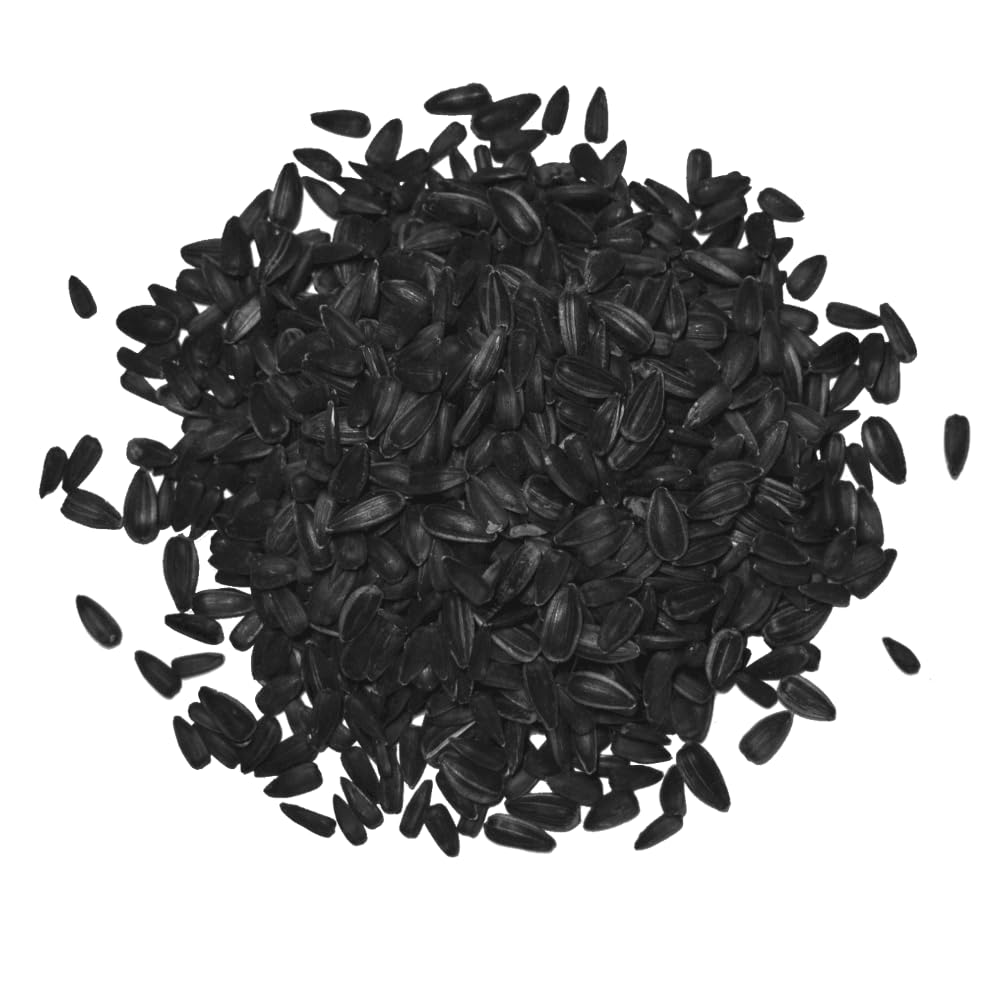 agrarshop-vogelfutter-sonnenblumenkerne-schwarz-20-kg-ganzjahres image 1