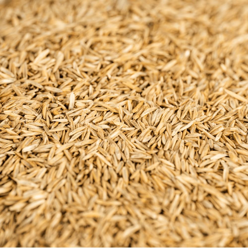 agrarshop-pferdeweide-nachsaat-grassamen-20-kg-belastbar image 5