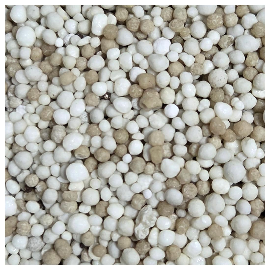 agrarshop-turf-ansaat-19-20-11-rasend-nger-20-kg-phosphor image 2