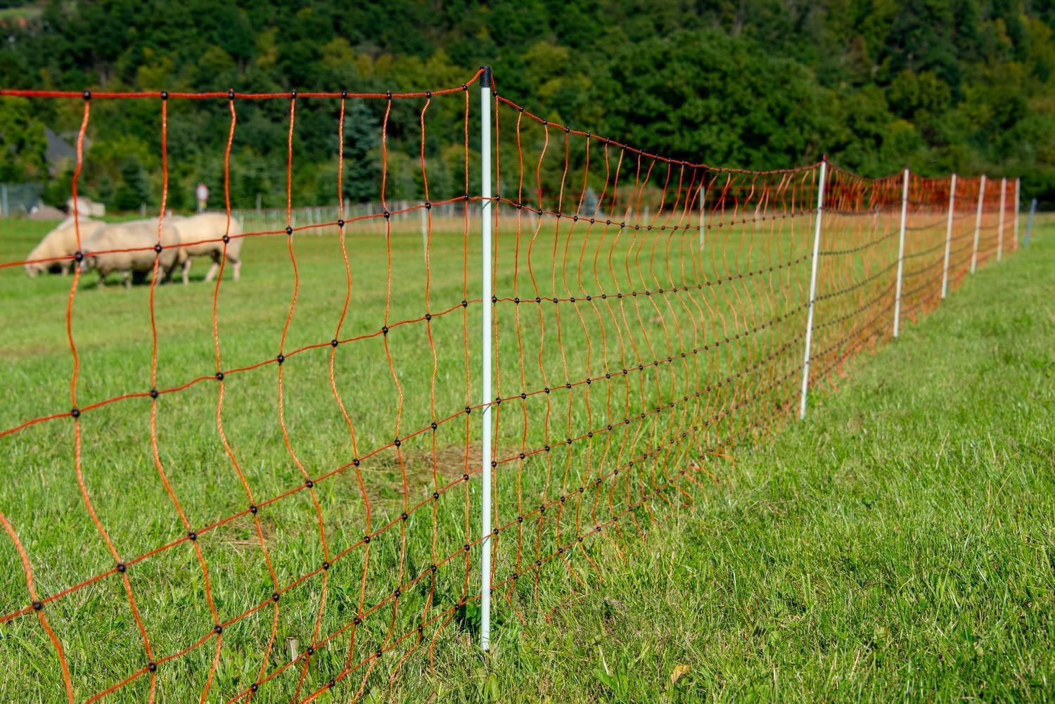 horizont-horinetz-easyline-schafzaun-50-m-90-cm-doppelspitze image 8