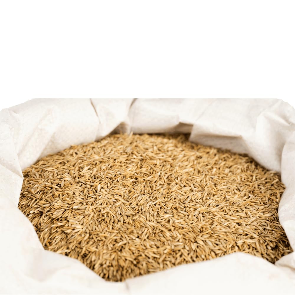 agrarshop-pferdeweide-nachsaat-grassamen-20-kg-belastbar image 4