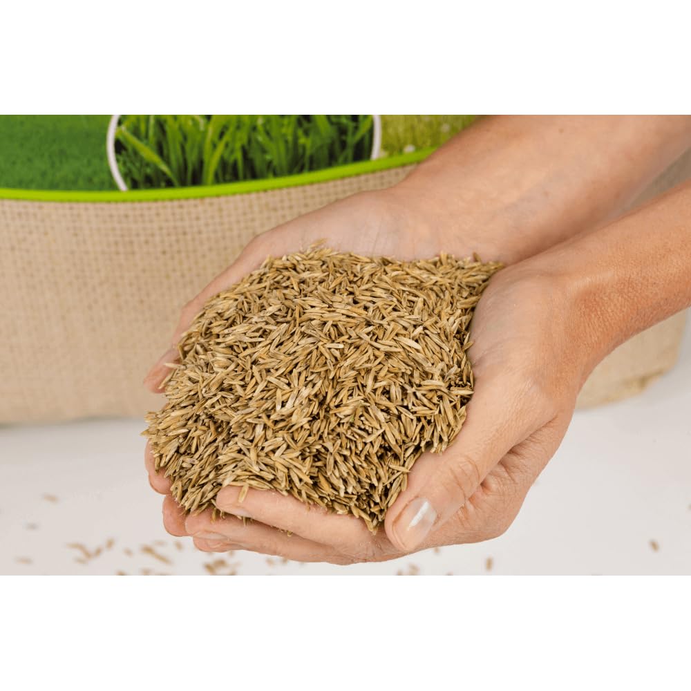 agrarshop-pferdeweide-nachsaat-grassamen-20-kg-belastbar image 3