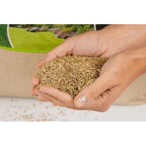 agrarshop-rasensamen-spielrasen-rsm-2-3-2-5-kg-robust image 8