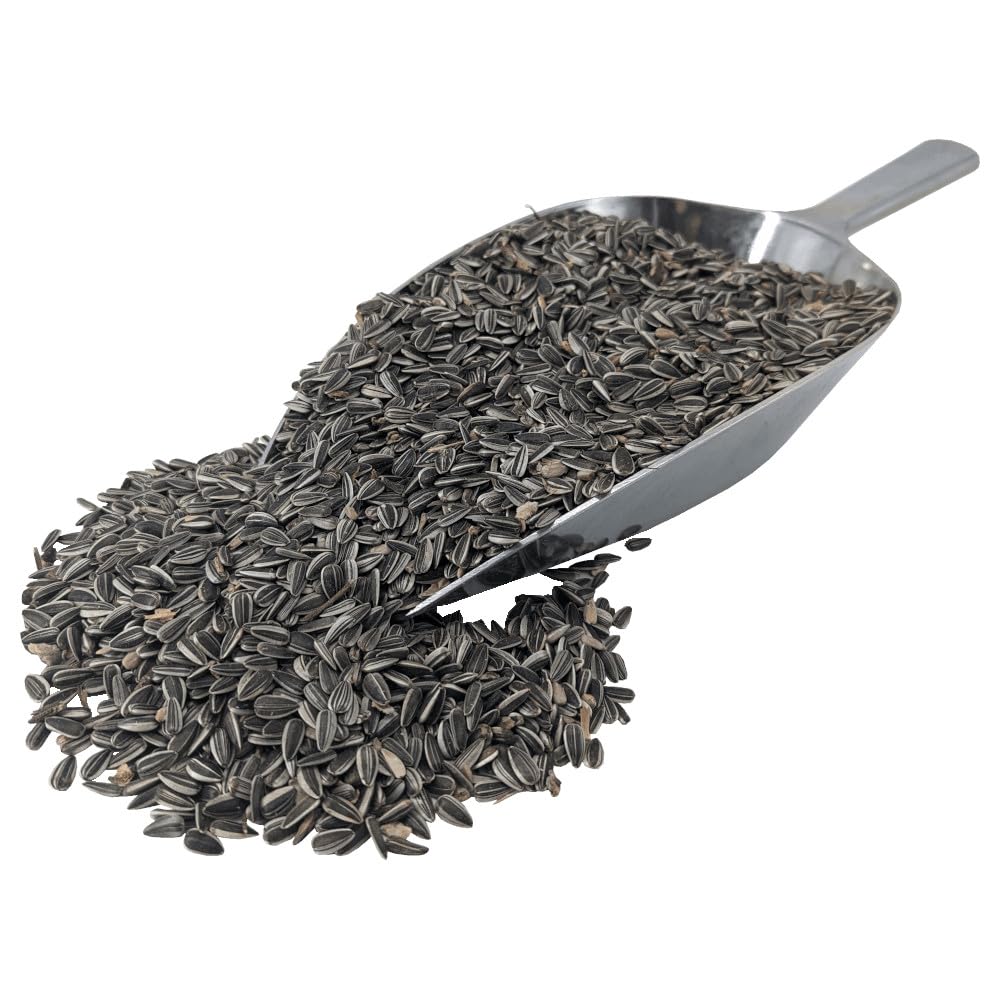 agrarshop-vogelfutter-gestreifte-sonnenblumenkerne-20-kg-ganzjahres image 3