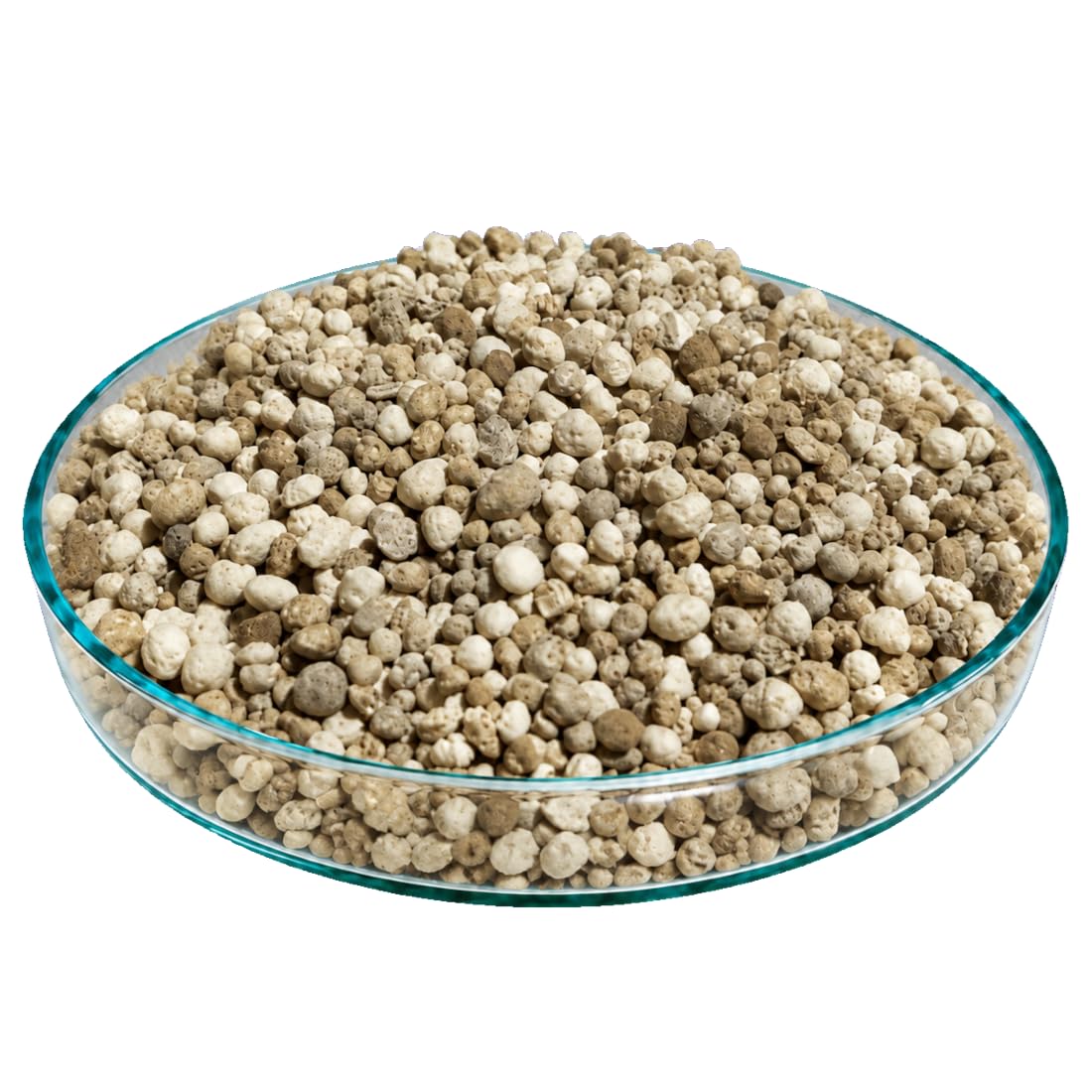 agrarshop-rasend-nger-herbst-25-kg-herbstrasend-nger-kalium image 3