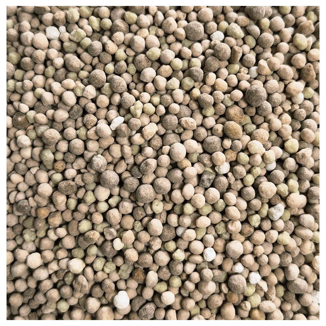 agrarshop-rasend-nger-basic-25-kg-npk-12-5-5-bis-625-m image 2