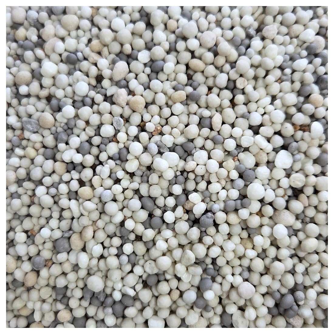 agrarshop-turf-herbst-15-0-22-rasend-nger-20-kg-kalium image 2