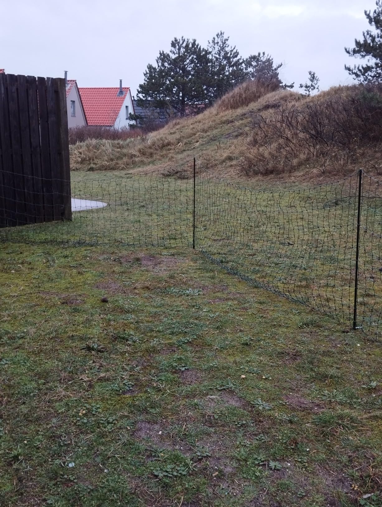 50 m reichen