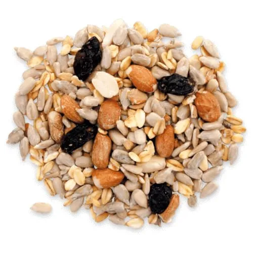 agrarshop-schalenlos-premium-vogelfutter-25-kg-ganzjahresfutter image 1