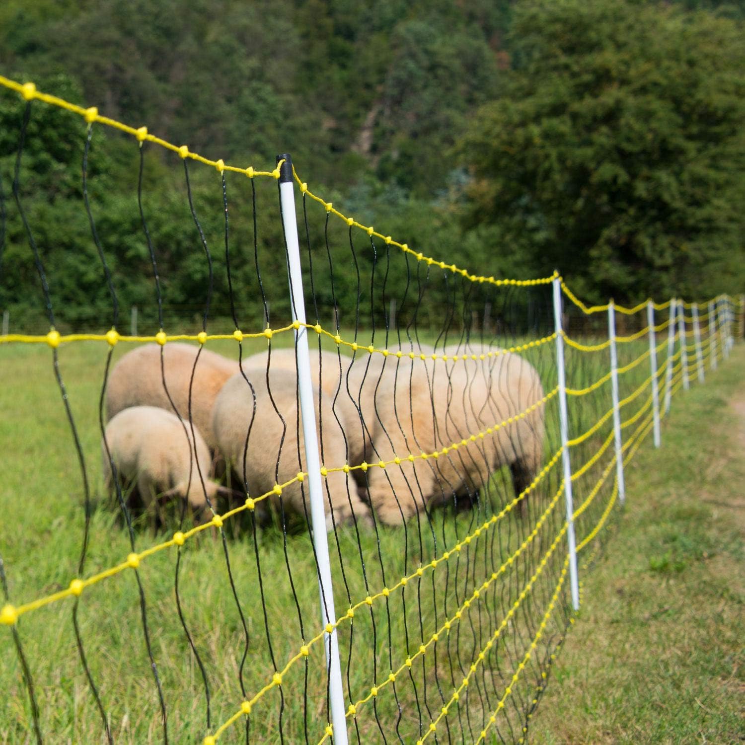 horizont-horinetz-schafnetz-50m-105cm-elektrozaun-doppelspitze image 6