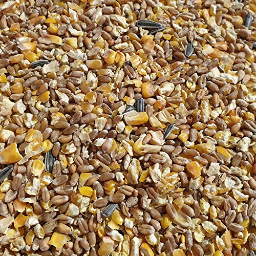 agrarshop-gefl-gelfutter-k-rnerfutter-universal-25-kg image 2