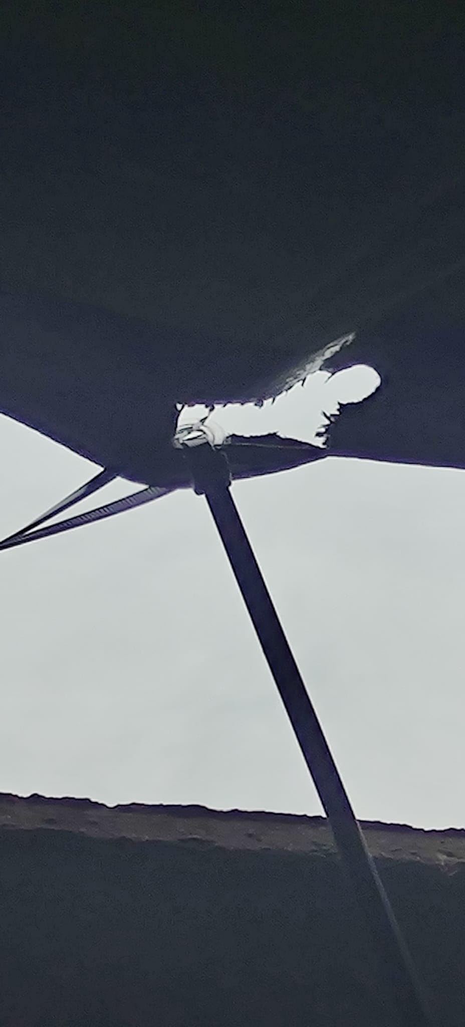 Hält Regen ab