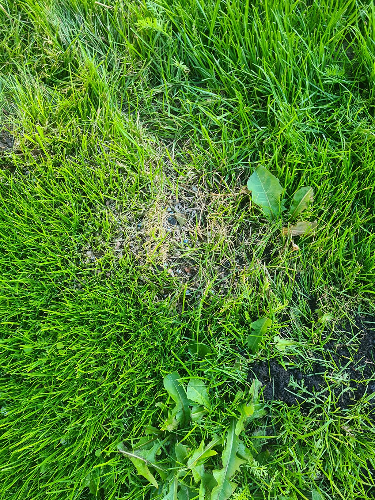Braucht Wasser