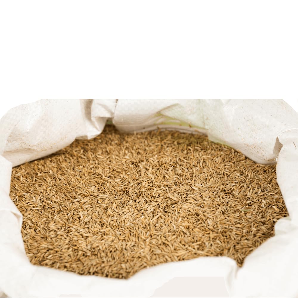 agrarshop-rasensamen-spielrasen-rsm-2-3-2-5-kg-robust image 4